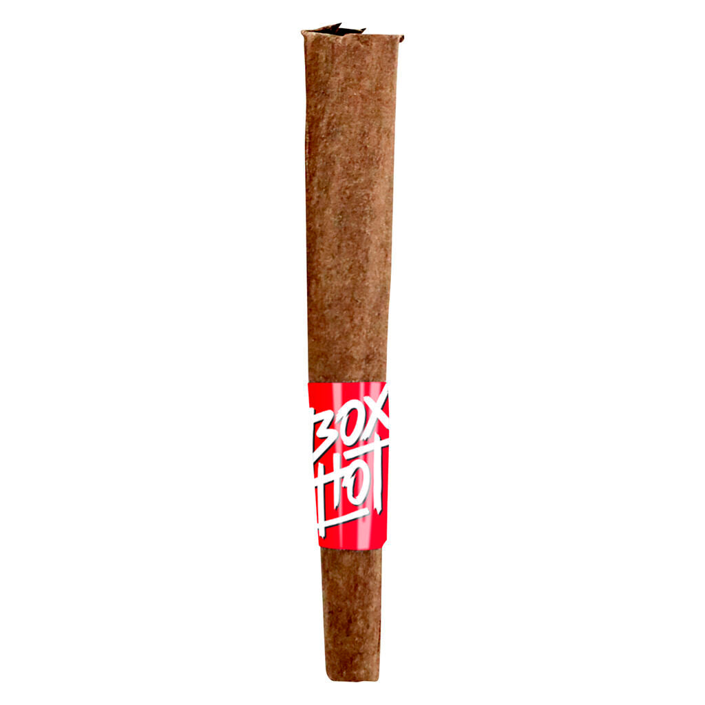 Stubbies - Mango Vortex Infused Blunts - 