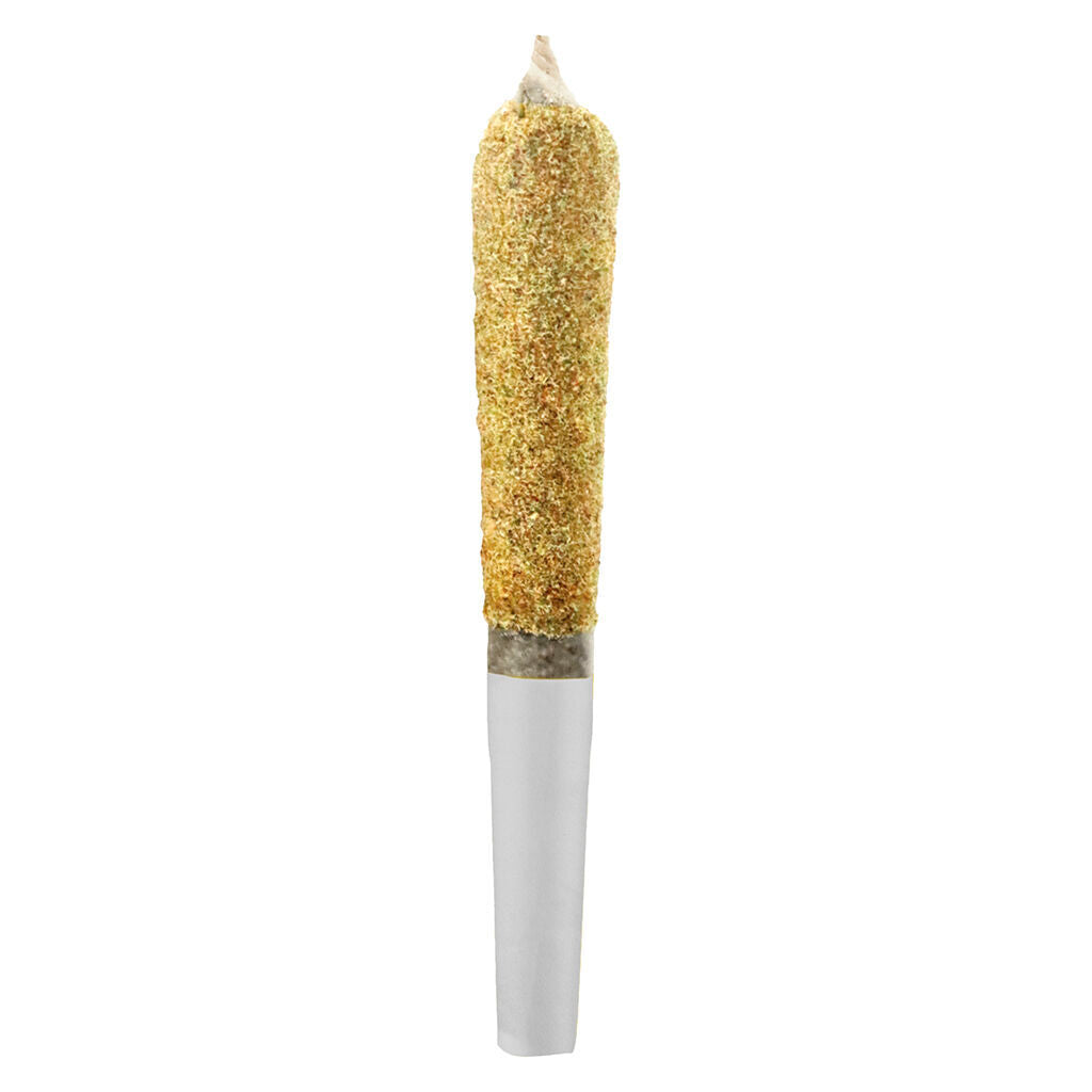 Dusties - Rocket Fuel Kief Coated Infused Pre-Roll - 