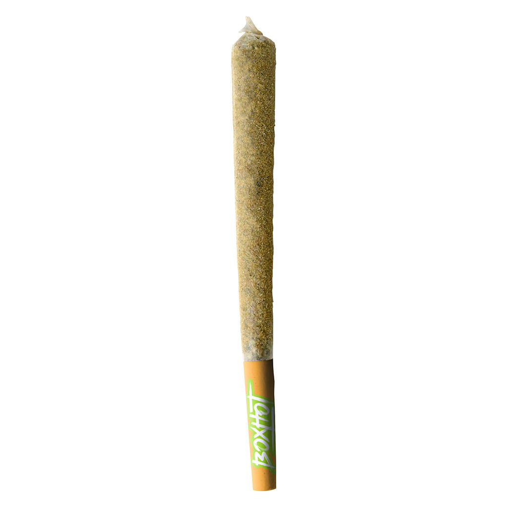 Dusties XL Retro Orange Blast Kief-Coated Infused Pre-Roll - 