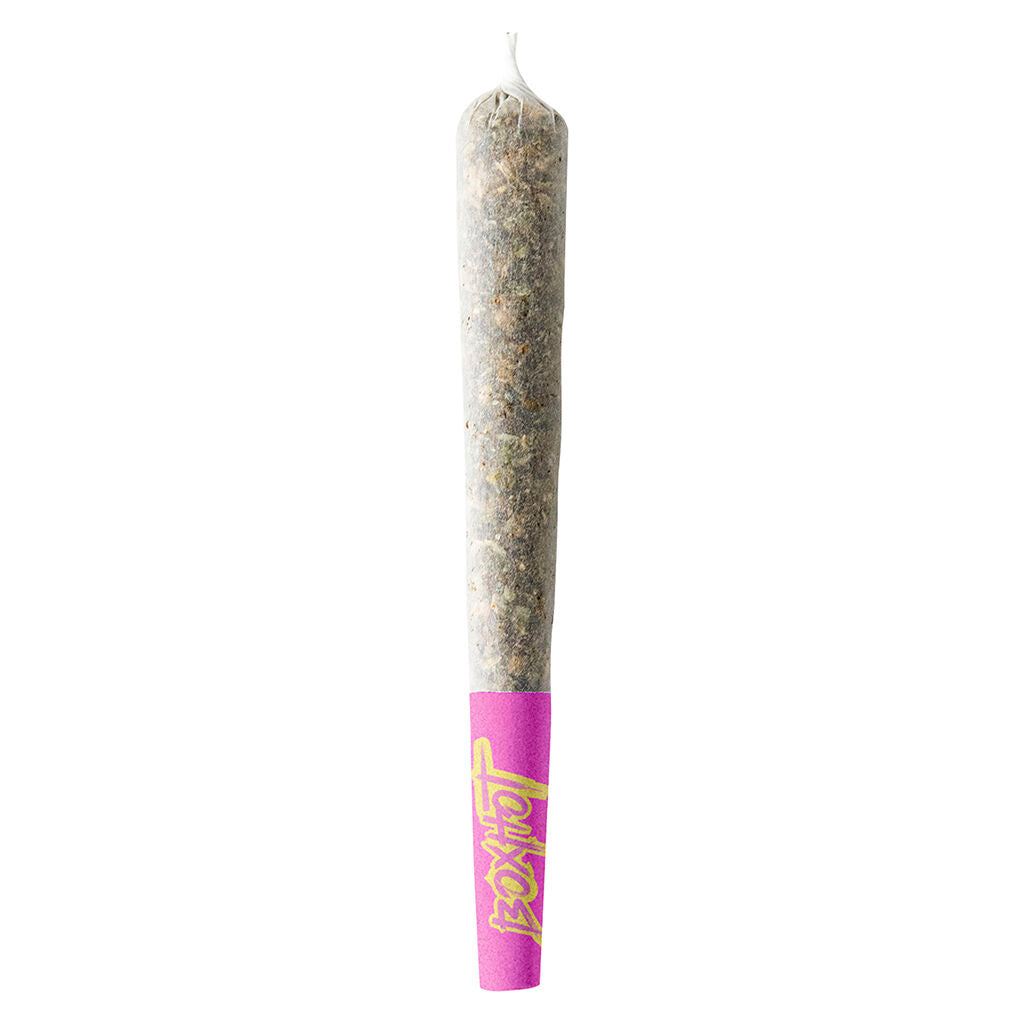 Terpedos - Neon Riot Pre-Roll - 