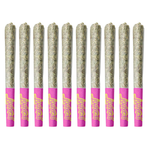Photo Terpedos - Neon Riot Pre-Roll