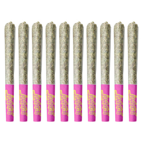 Photo Terpedos - Neon Riot Pre-Roll