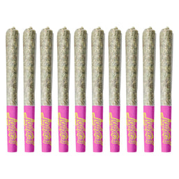 Photo Terpedos - Neon Riot Pre-Roll