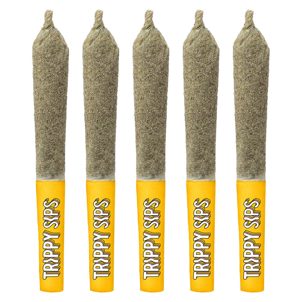 Caribbean Crush Kief Coated Infused Pre-roll - 