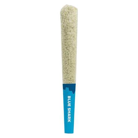 Photo Diamond Coated Infused Pre-Roll – Blue Shark