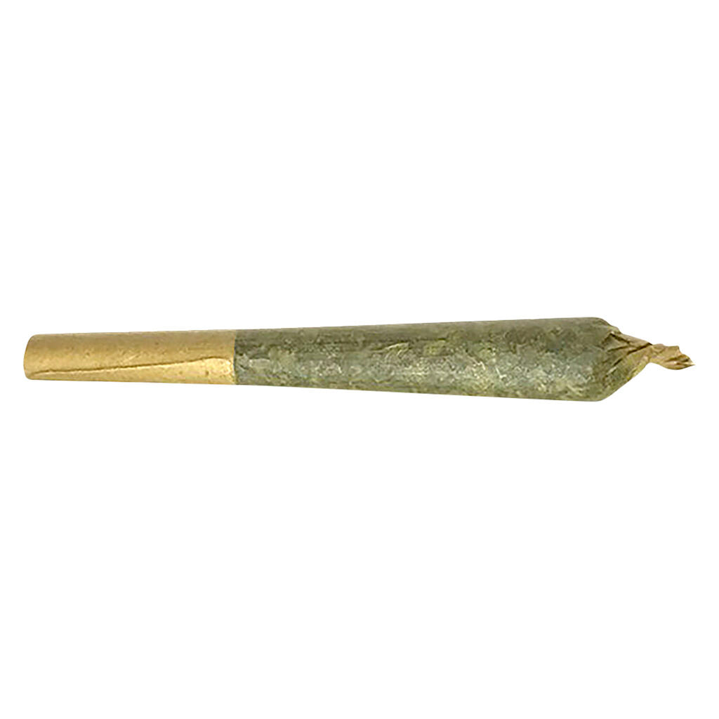 Jack Herer Pre-Roll - 