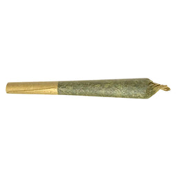 Photo Jack Herer Pre-Roll