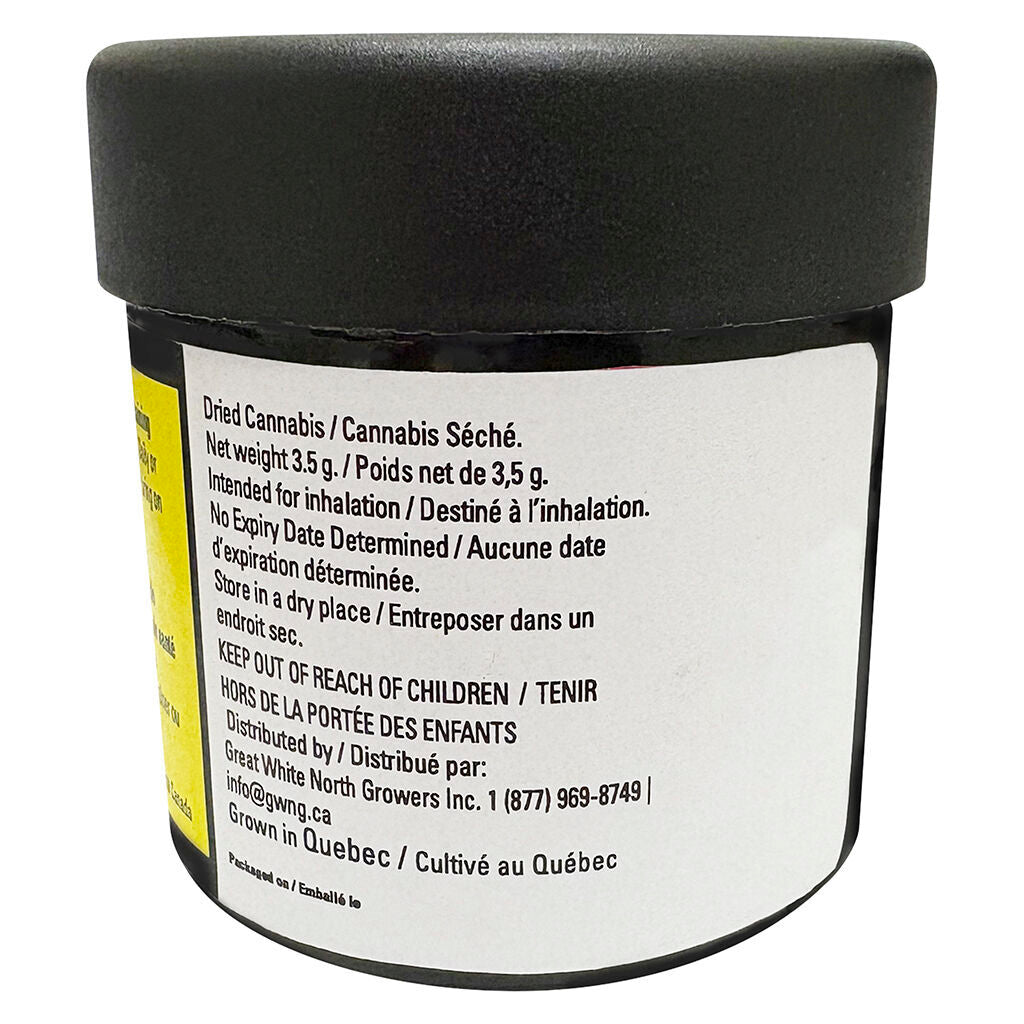 Mango Fuel - 