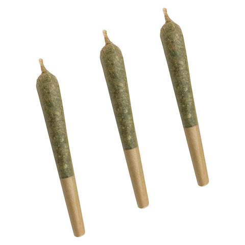 Photo Time Wreck Pre-Roll