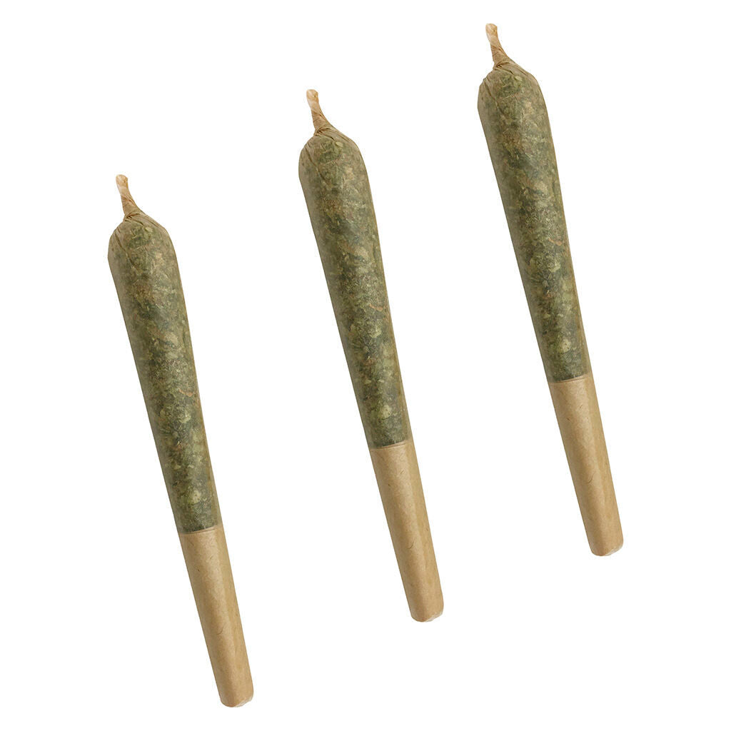 Citrus Tsunami Pre-Roll - 