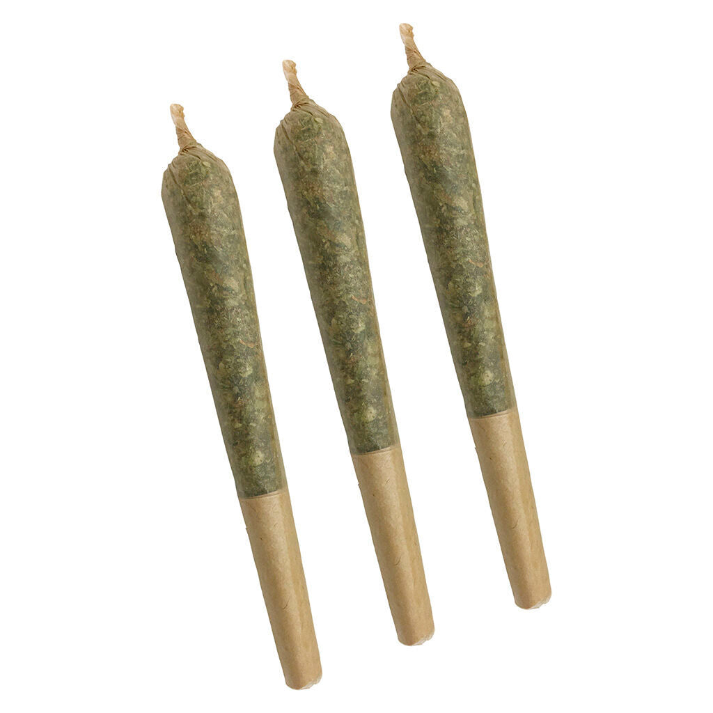 Ghost Haze-47 Pre-Roll - 