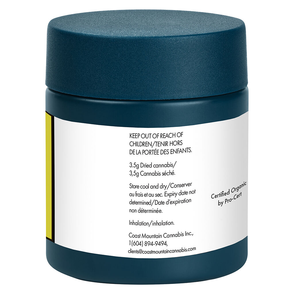 BC Organic Dancehall - 