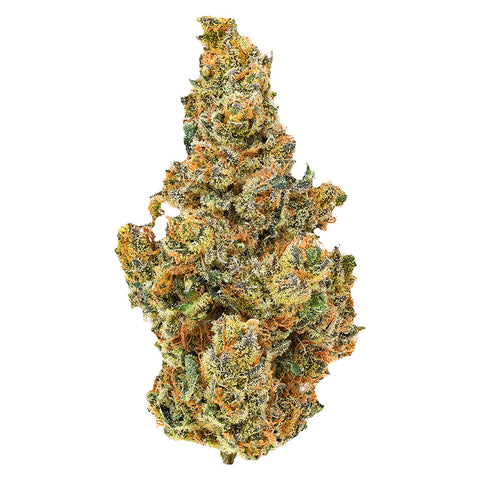 Photo BC Organic Dancehall