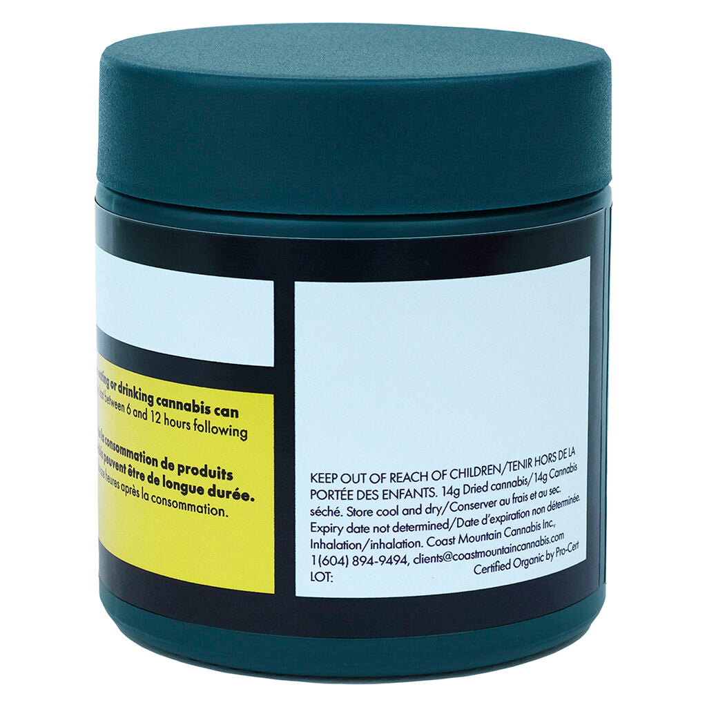 BC Organic Dancehall - 