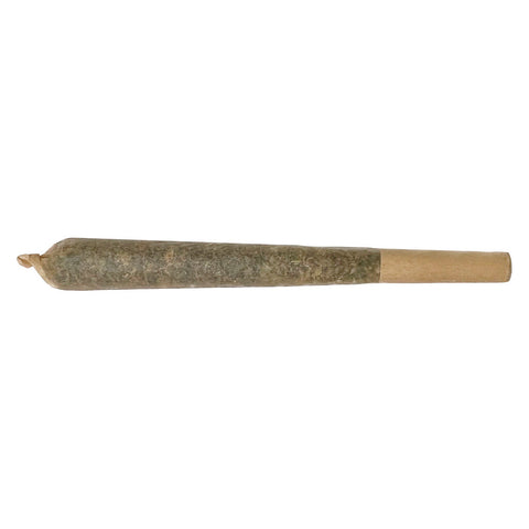 Photo Hippie Classics Pre-Roll