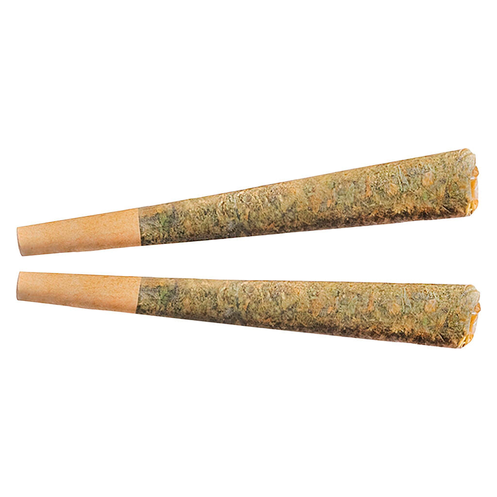 Night Rider Indica Pre-Roll - 