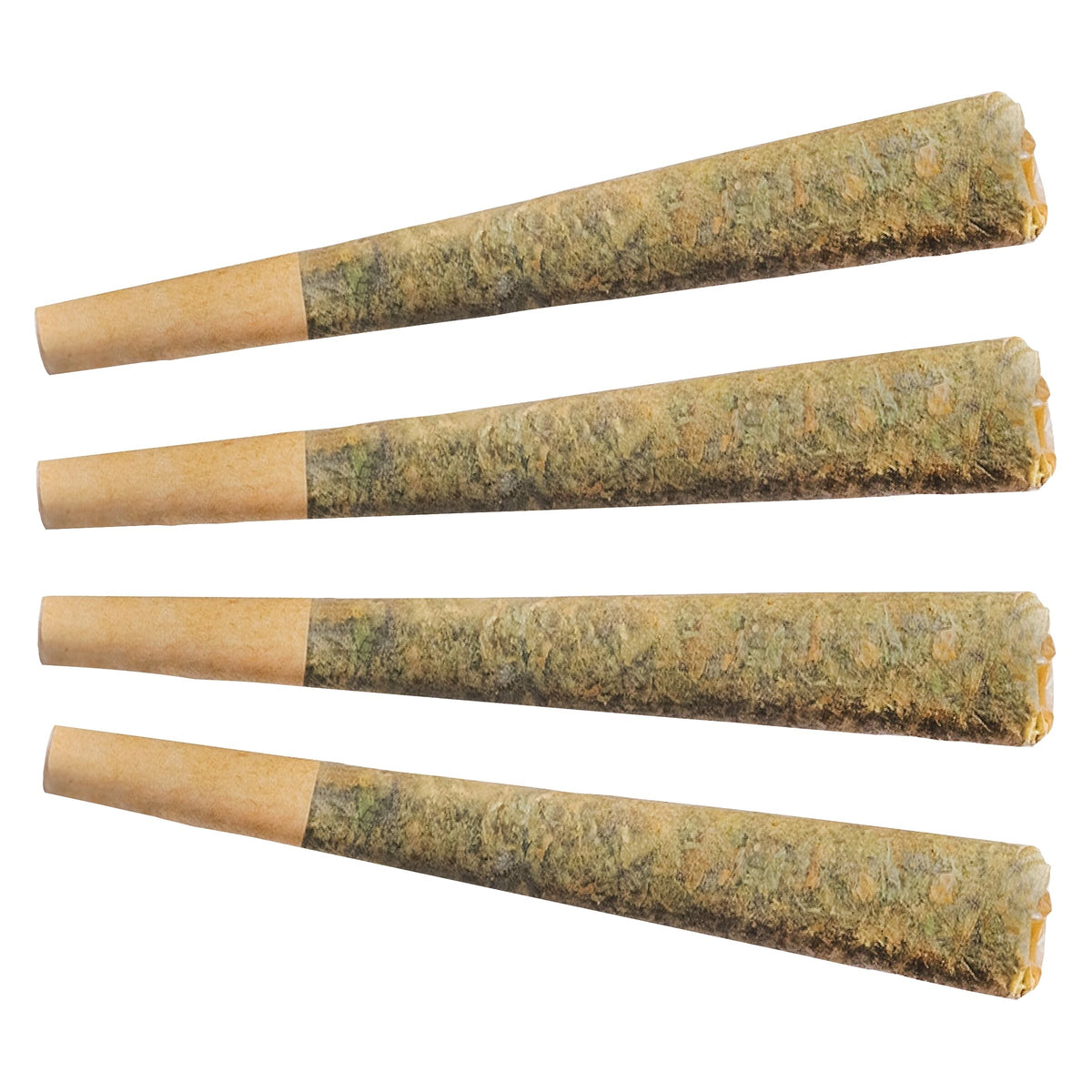 Préroulé Sunny Daze Sativa