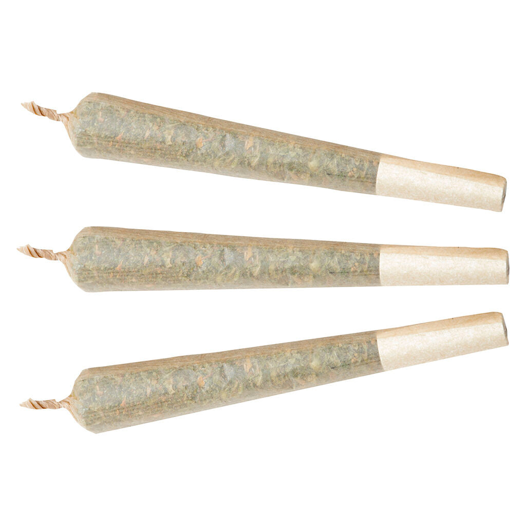 Watermelon G-Bear Distillate Infused Pre-Roll - 