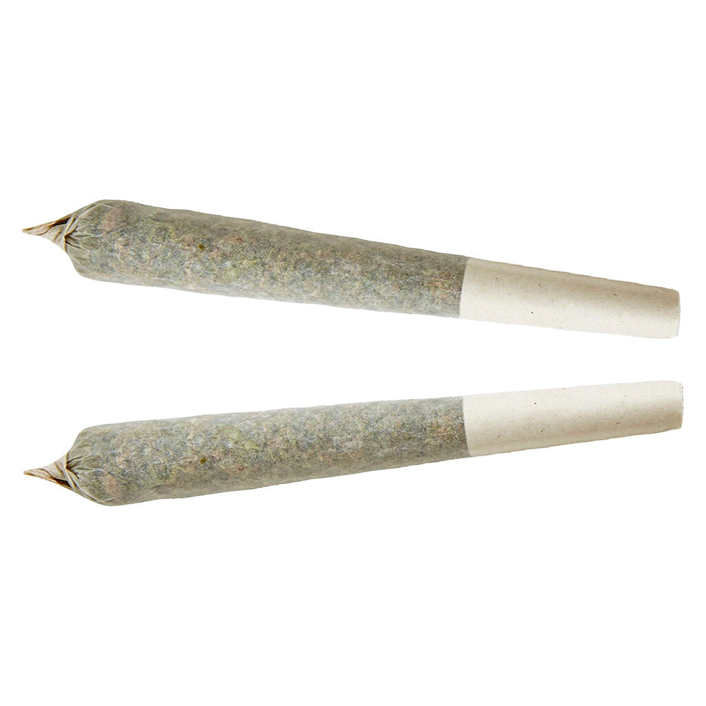Préroulé Indica - 