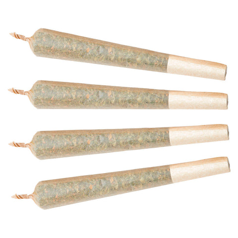 Photo PRÉROULÉ QUICK RIPS INDICA