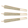 Purple Punch Pre-Roll