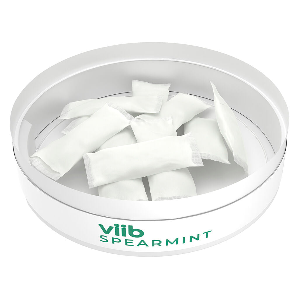 Spearmint 4 :1 THC CBG Pouches