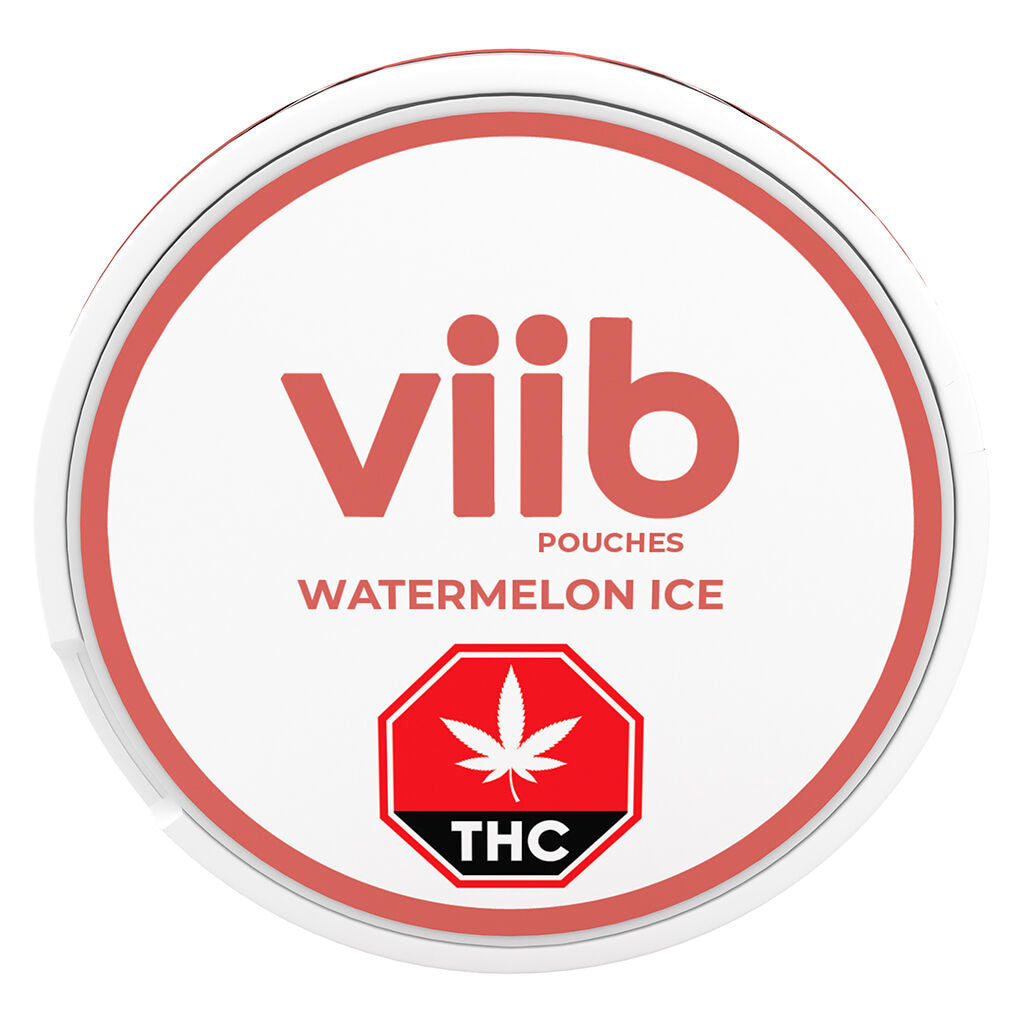 Watermelon Ice 4 THC: 1 CBG Oral Pouches - 