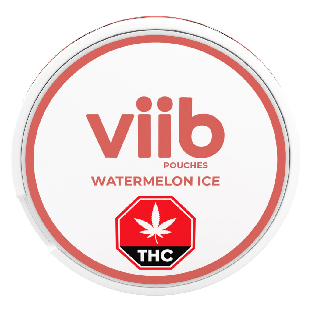 Watermelon Ice 4 THC: 1 CBG Oral Pouches - 