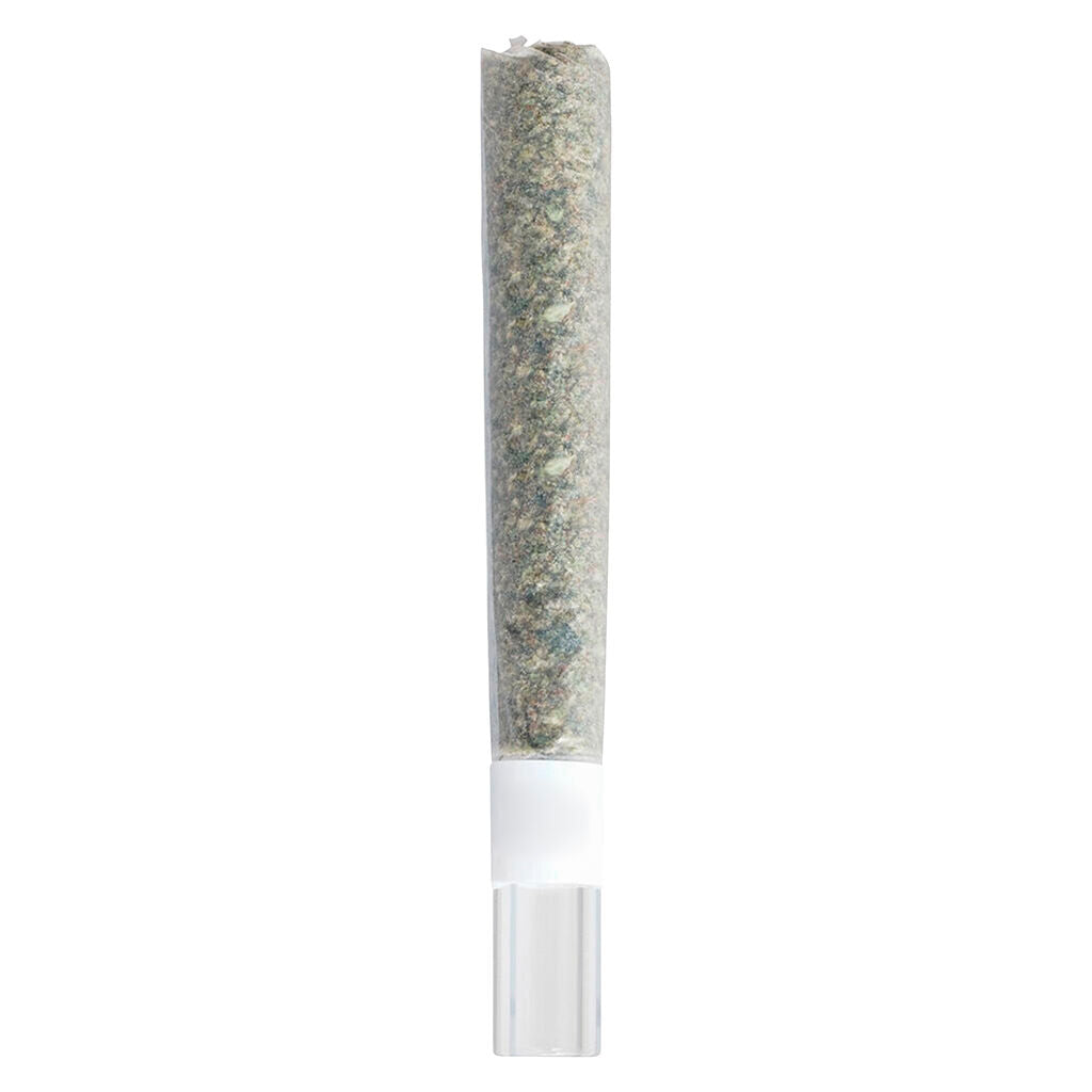 Rosin Roll Glass Tip Infused Pre-Roll - 