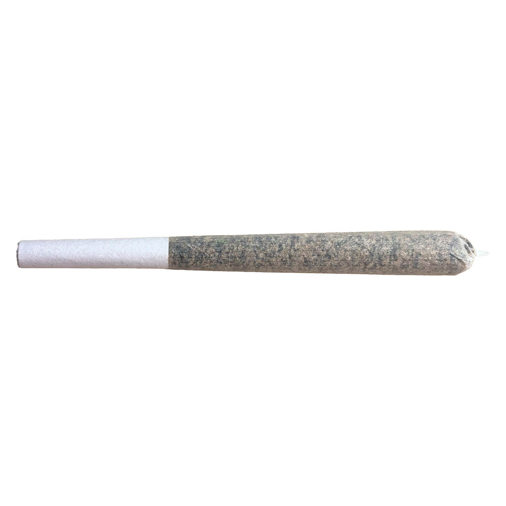Miami Daze Pre-Roll