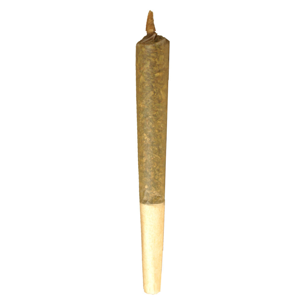 Préroulé Indica - 