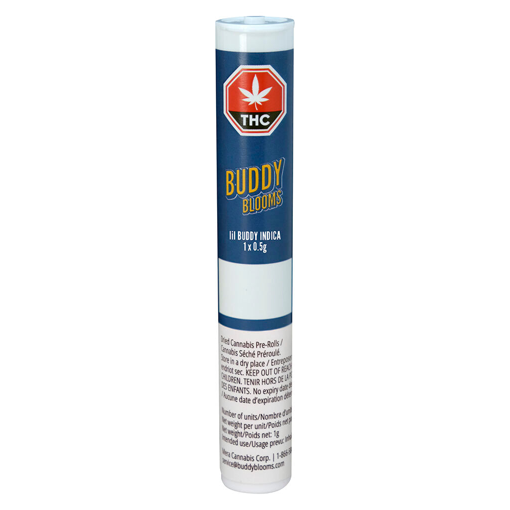 Préroulé lil Buddy Indica