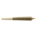 Préroulé Big Buddy Indica