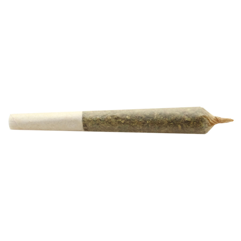 Préroulé Big Buddy Indica
