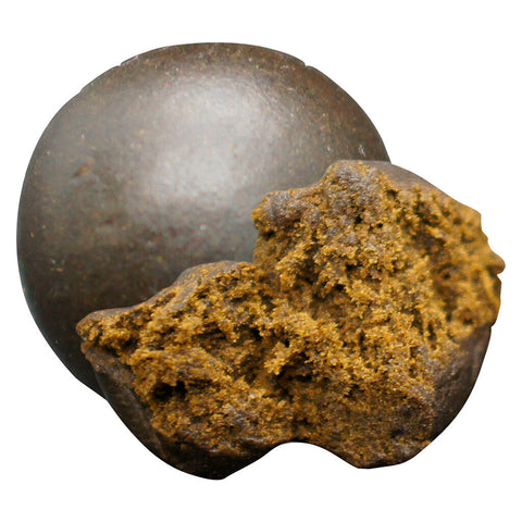 Afghan Black Hash Photo