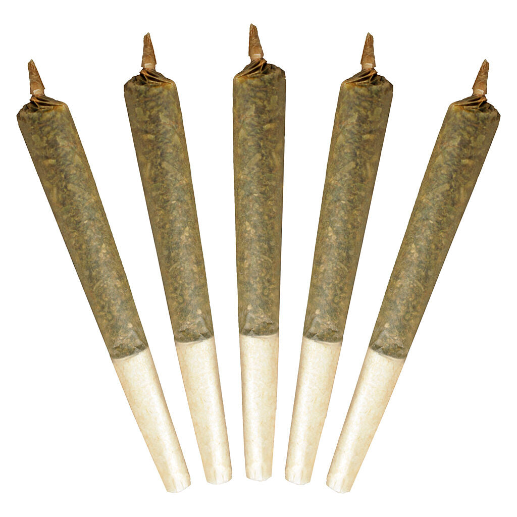 Big Buddy Sativa Pre-Roll - 