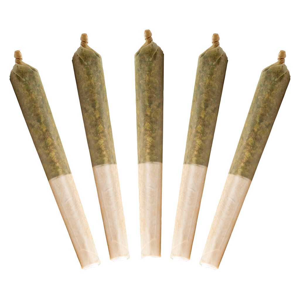 Lil Buddy Sativa Pre-Roll - 