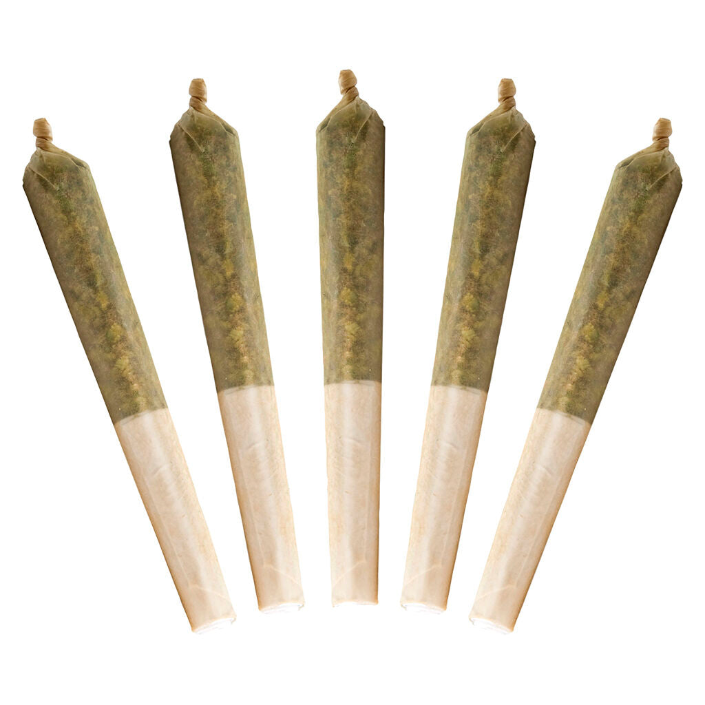 Lil Buddy Sativa Pre-Roll - 