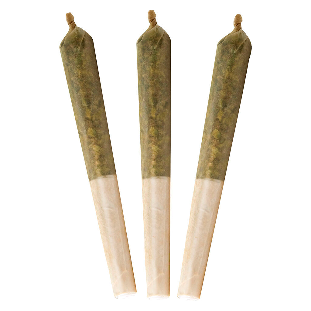 Hash Oil Infused Pre-Roll - 