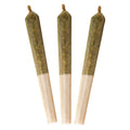 Hash Oil Infused Pre-Roll