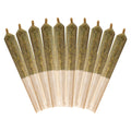 Ethos Glue Pre-Roll