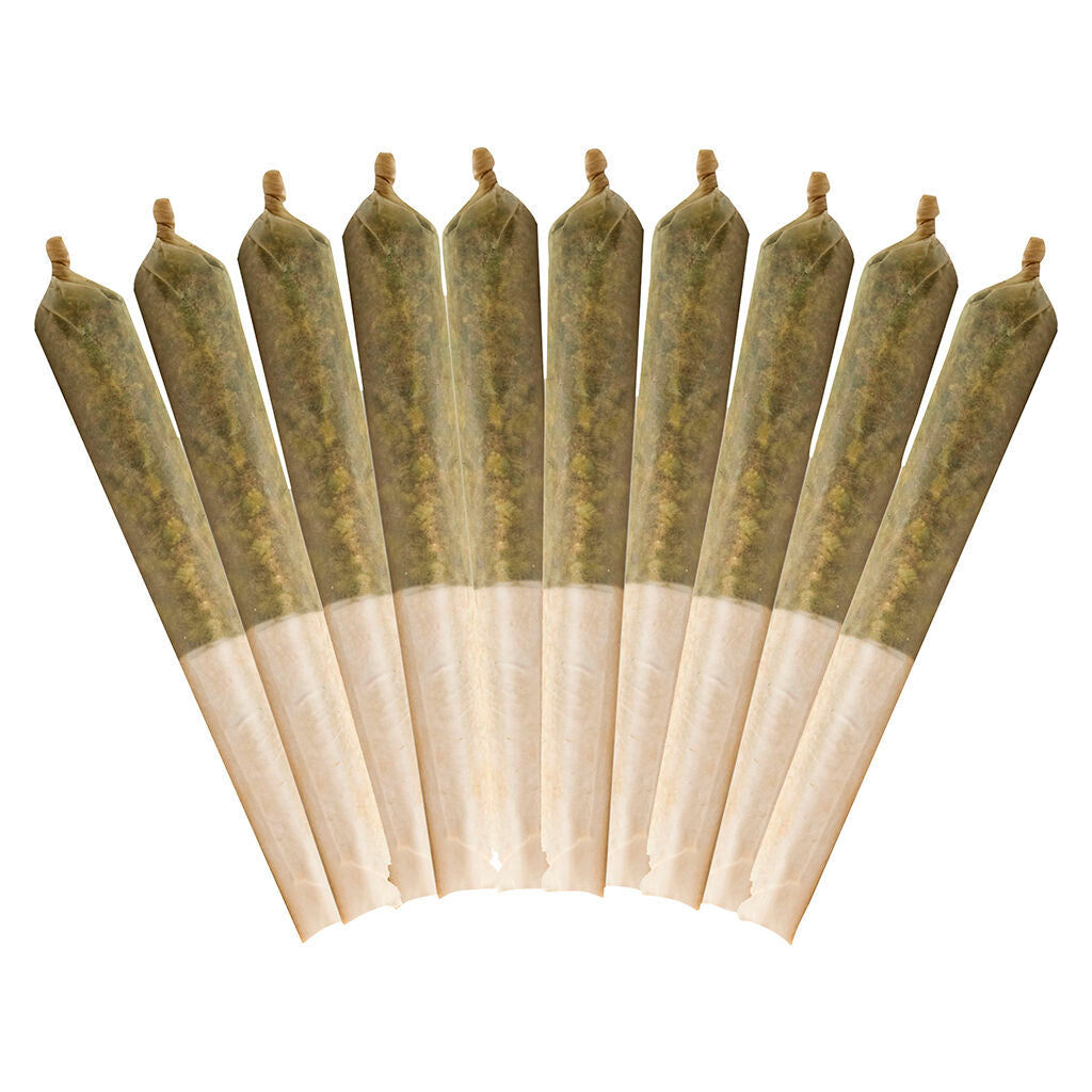 Ethos Glue Pre-Roll