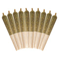 Highbrid Pre-Roll