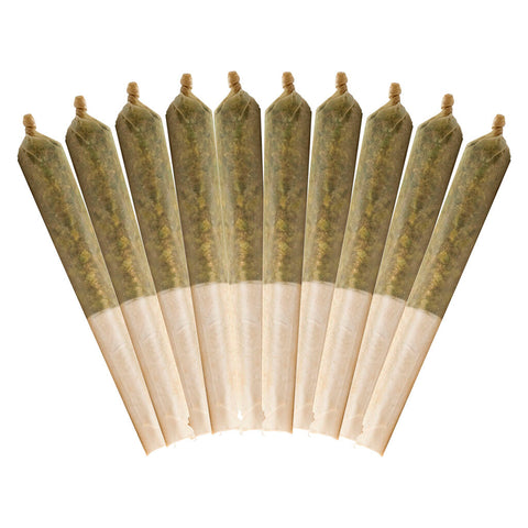 Photo Highbrid Pre-Roll