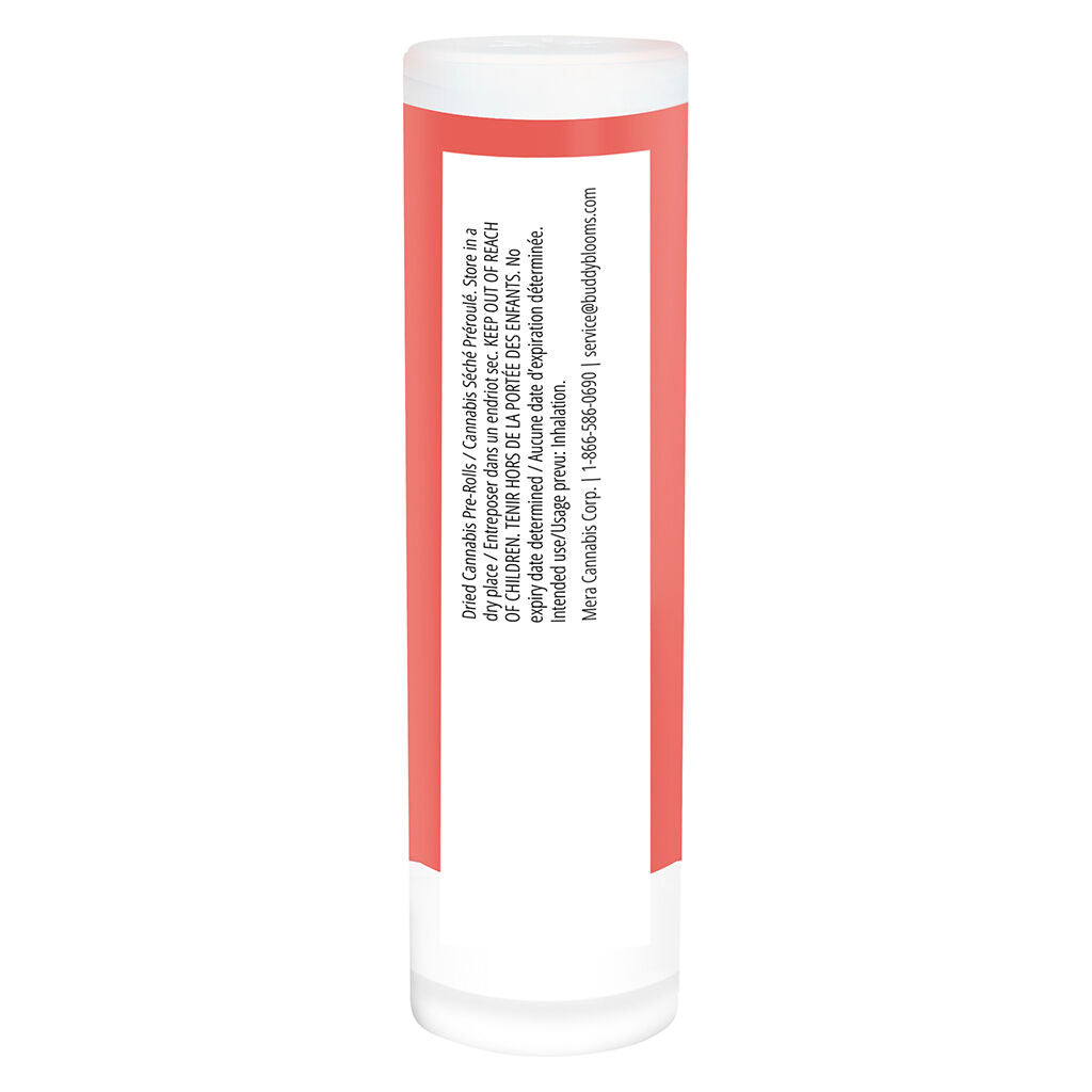 Highbrid Pre-Roll