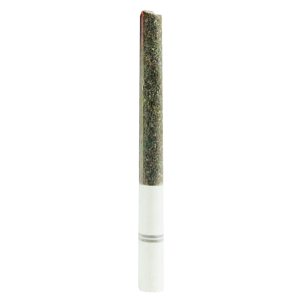 Blasters Trident Pre-Roll - 