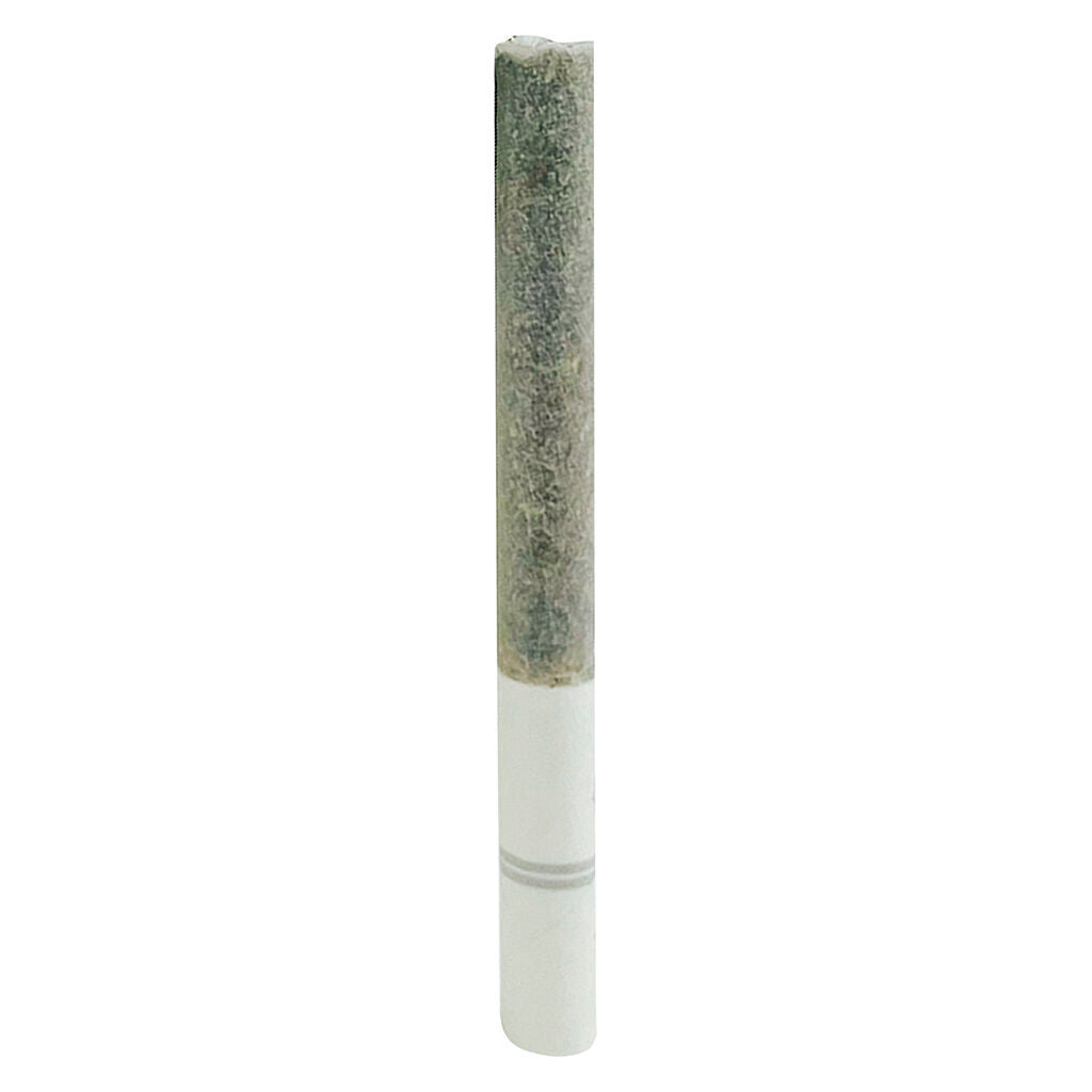 Blasters Ice Tea Pre-Roll - 