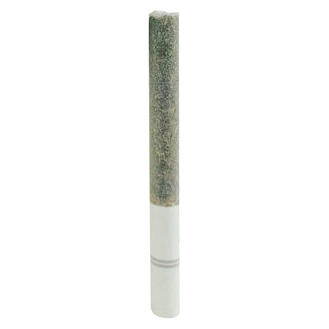 Photo Blasters Ice Tea Pre-Roll