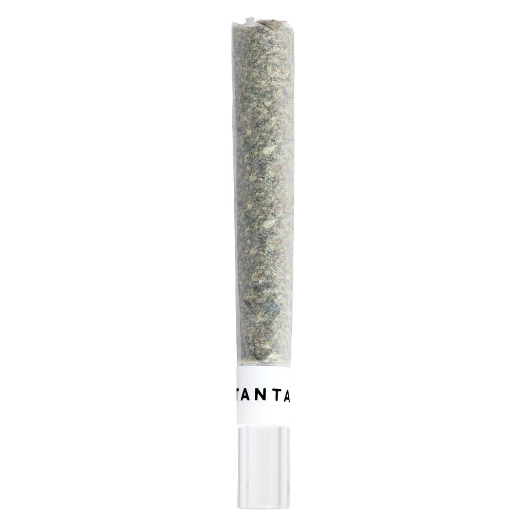 Pacific OG Glass Tip Pre-Roll - 