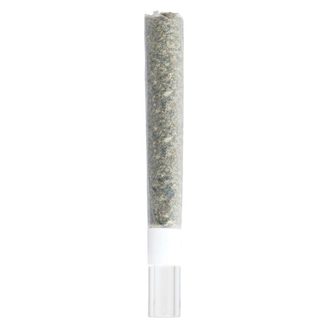 Photo Pure Michigan Glass Tip Pre-Roll